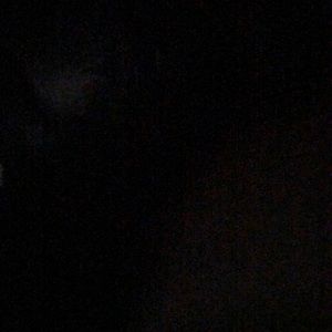 Meet your Posher, Daisy